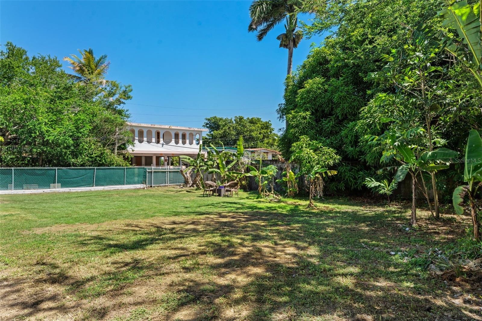 Backyard