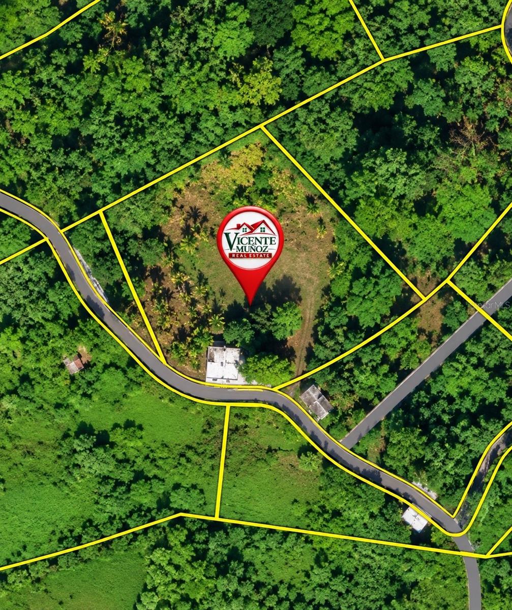 CARR 371 BO COLLORES SECT FRANCIA, Yauco, PR 00698