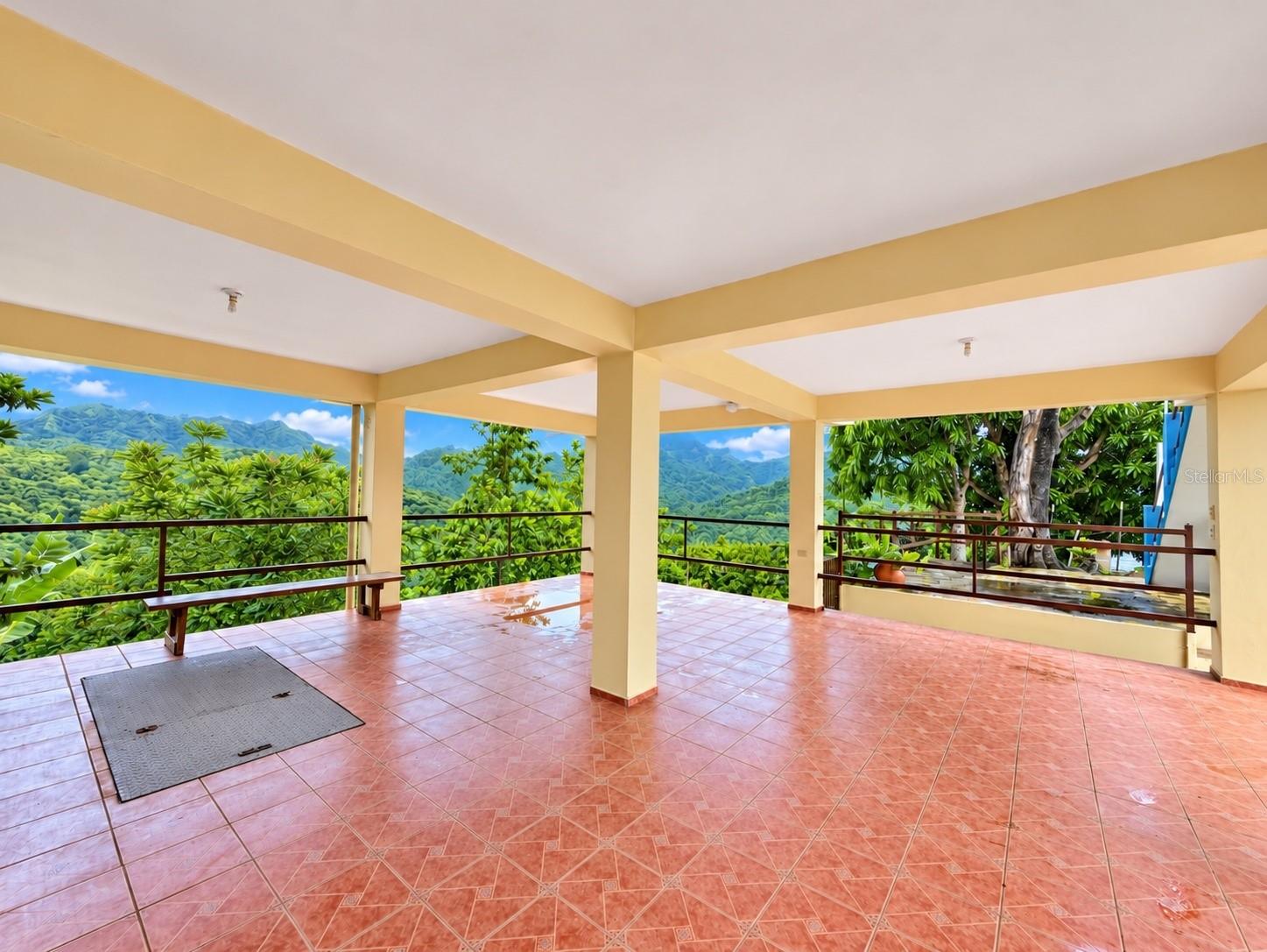 CARR 371 BO COLLORES SECT FRANCIA, Yauco, PR 00698