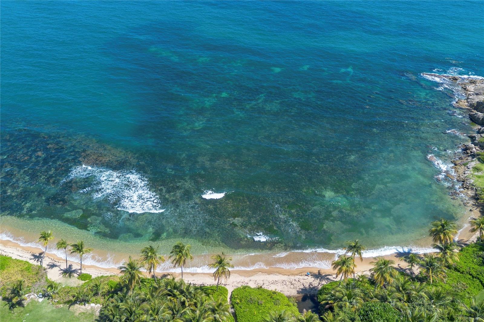 A quiet stretch of shoreline just steps from the residence.