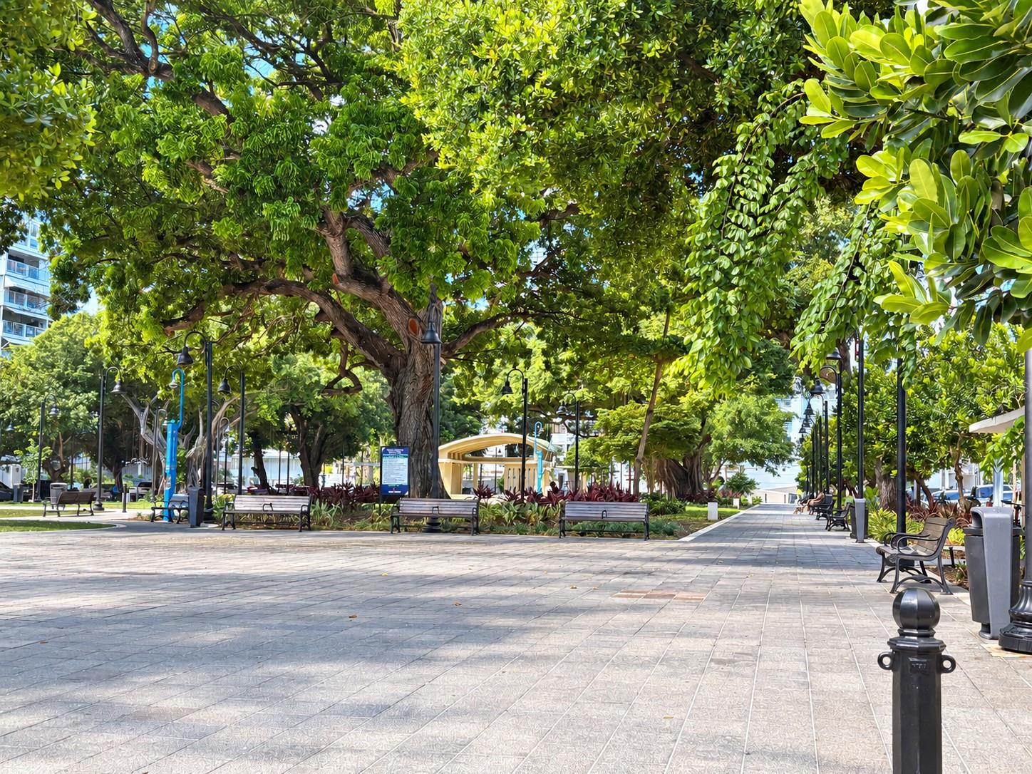 1 AV MAGDALENA, #1309, San Juan, PR 00922