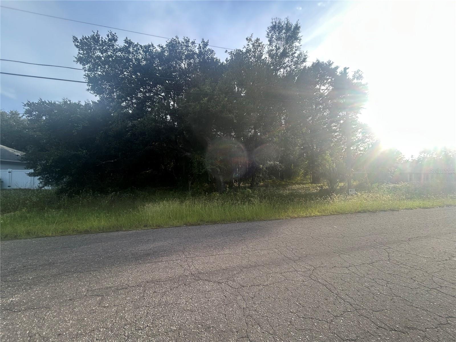 0000 GUAVA TERRACE, #4, Ocklawaha, FL 32179