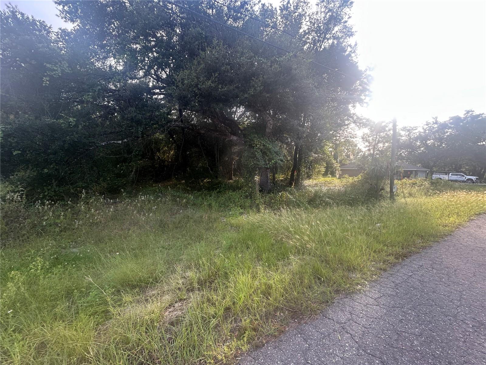 0000 GUAVA TERRACE, #4, Ocklawaha, FL 32179