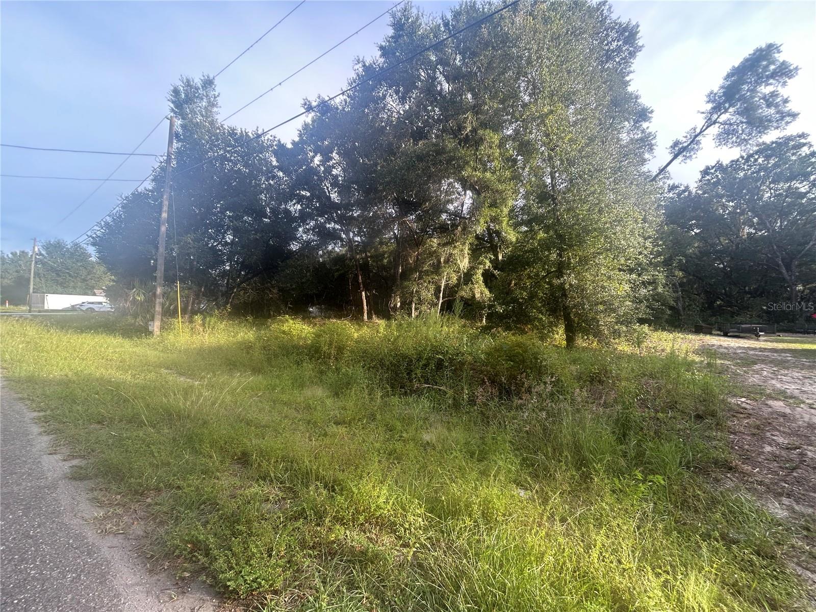 0000 GUAVA TERRACE, #4, Ocklawaha, FL 32179