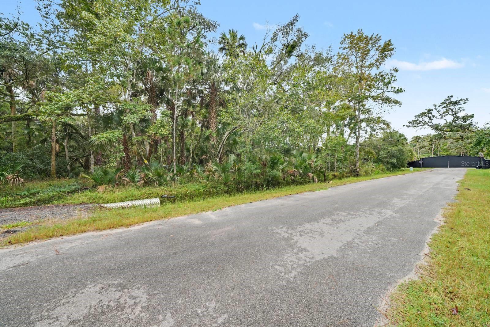 1215 TALL PINES DRIVE, Osteen, FL 32764 1215 TALL PINES DRIVE, Osteen, FL 32764