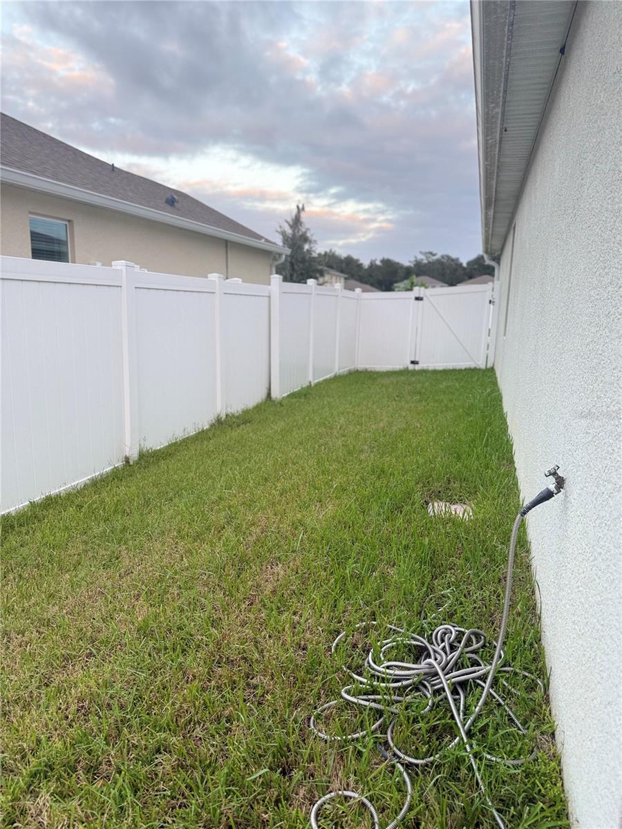 Side yard