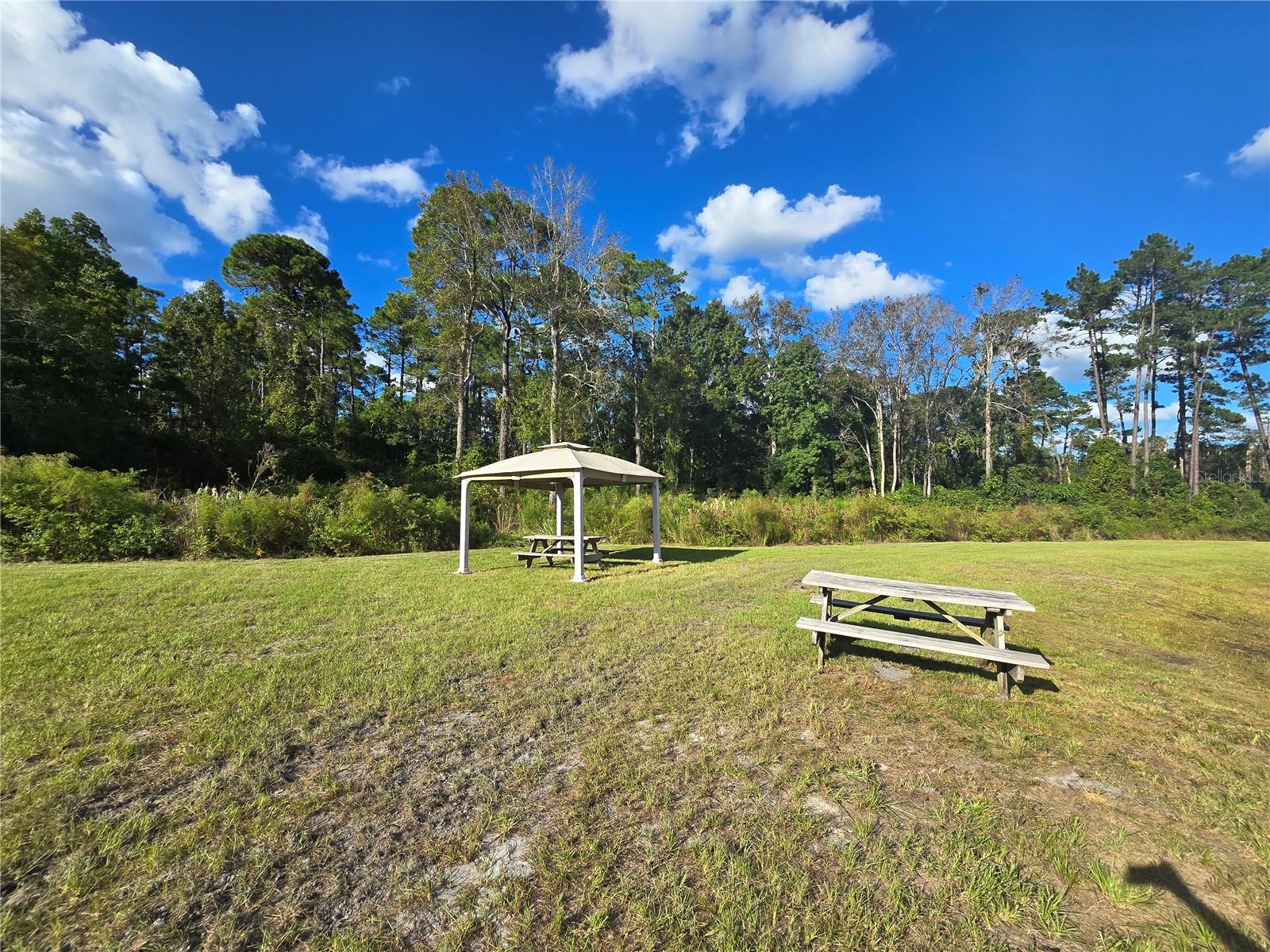 Rear of Property/Pond