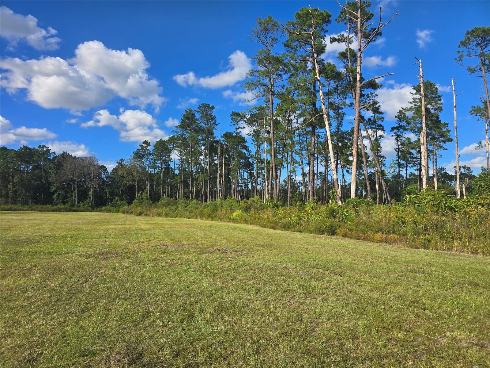 Right Side of Property