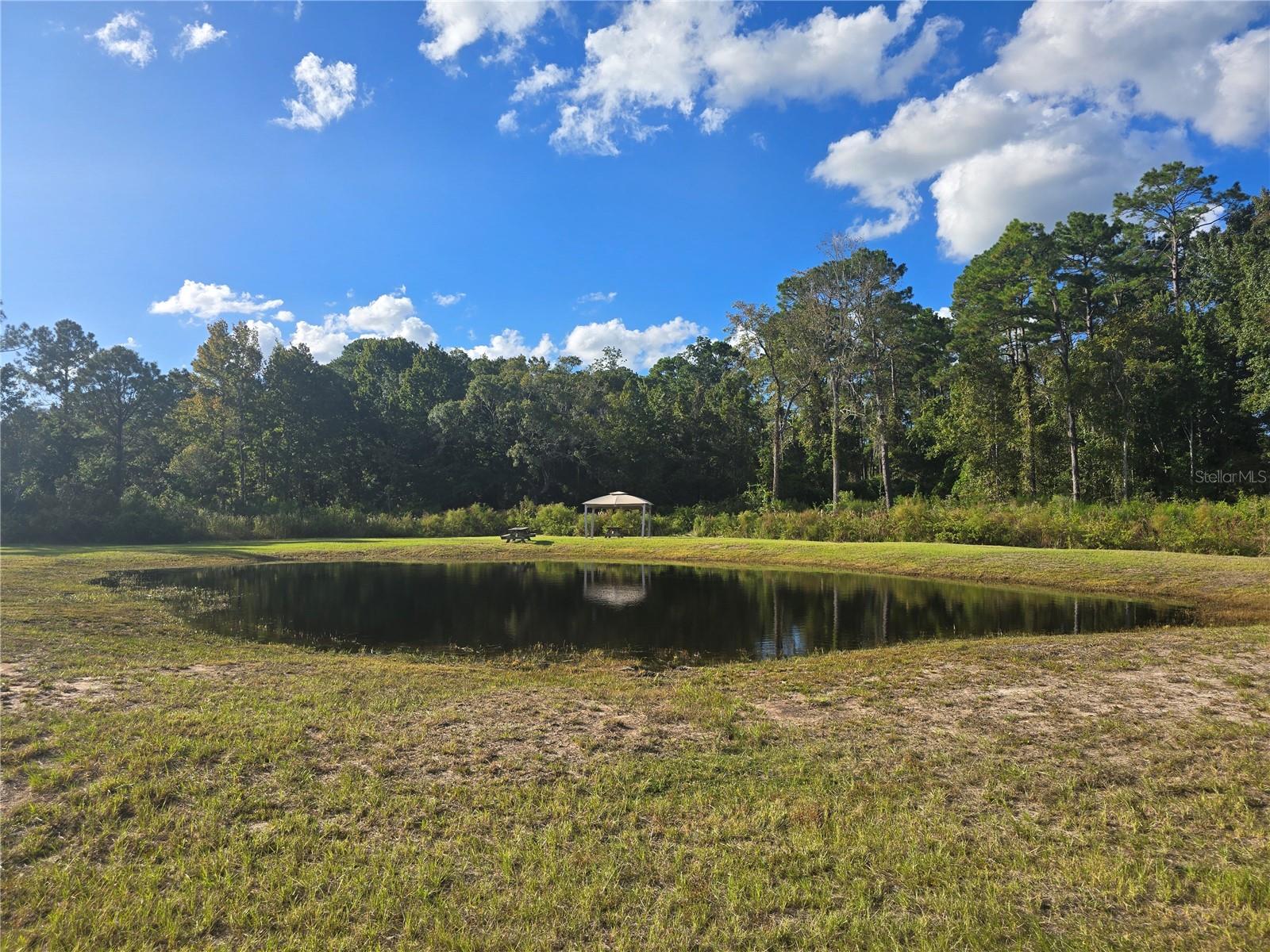 Pond View