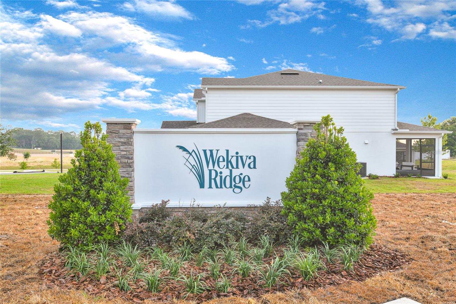 3716 DEER RIDGE DRIVE, Mount Dora, FL 32757