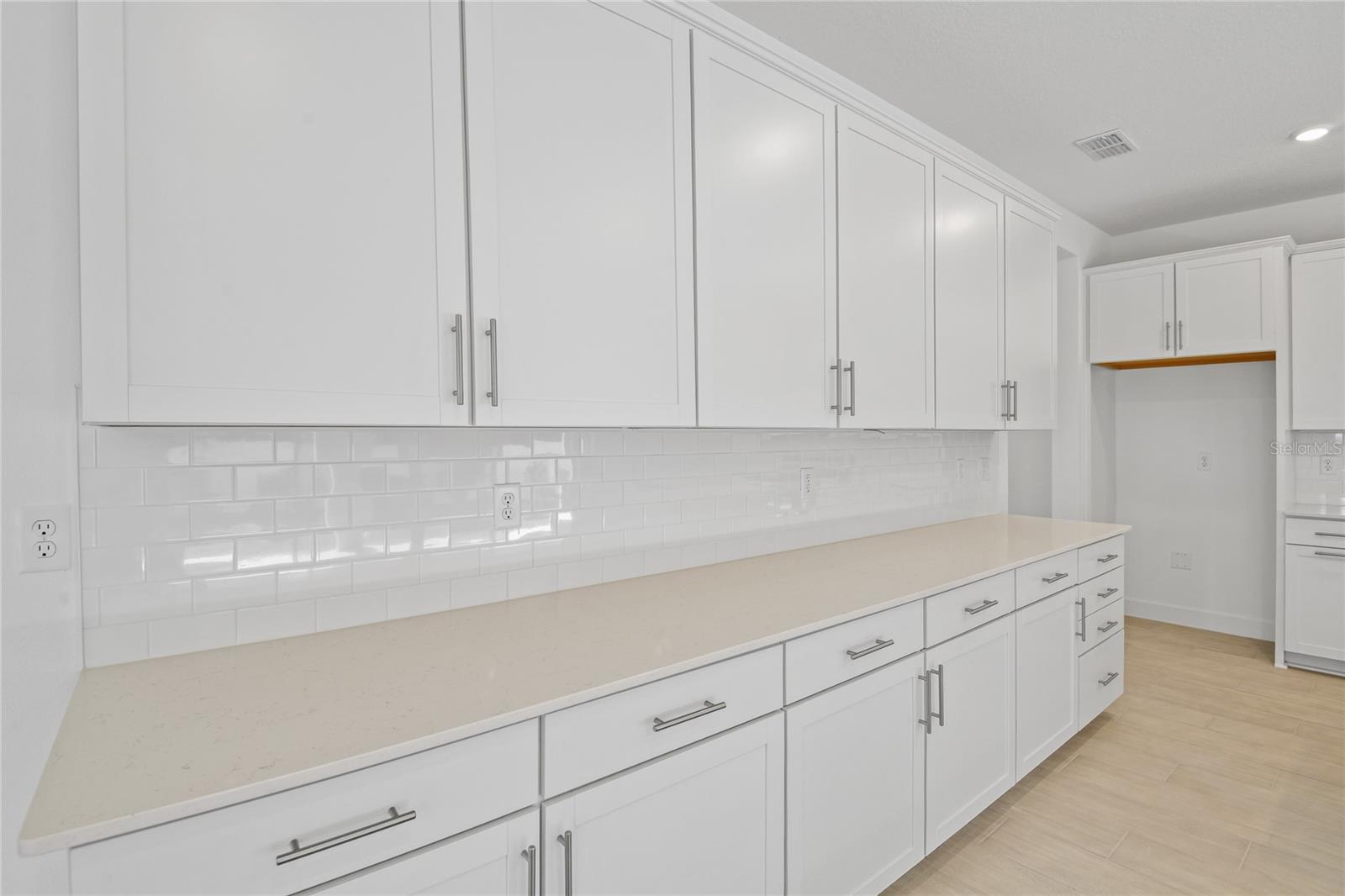 3716 DEER RIDGE DRIVE, Mount Dora, FL 32757