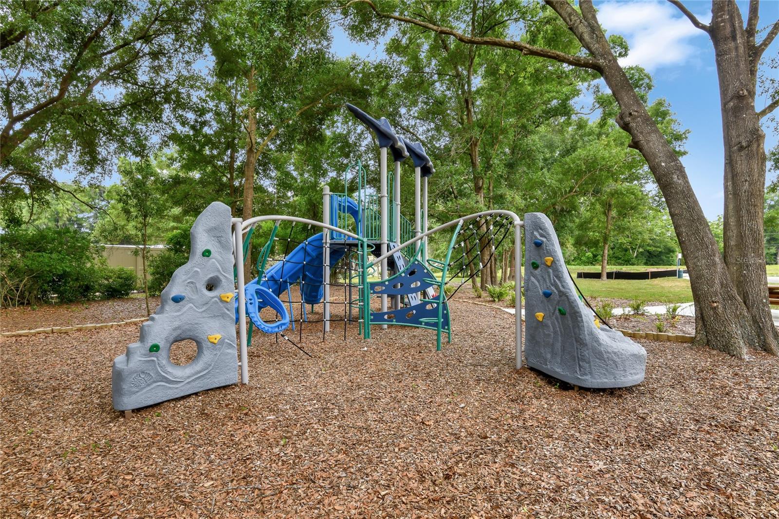 1737 CARNELIAN STREET, Deland, FL 32720