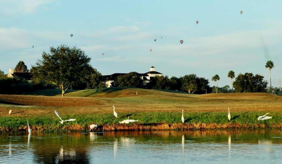 934 WESTPARK DRIVE, Celebration, FL 34747
