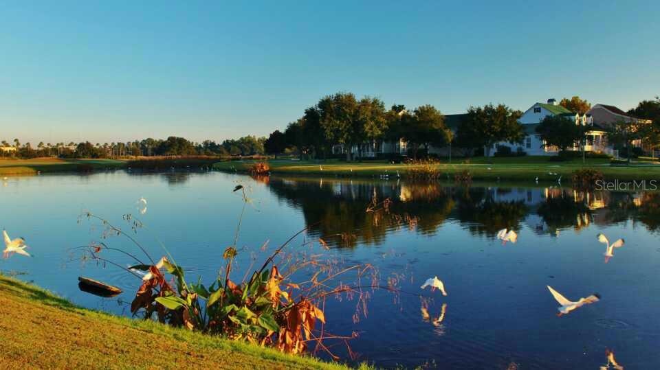 934 WESTPARK DRIVE, Celebration, FL 34747