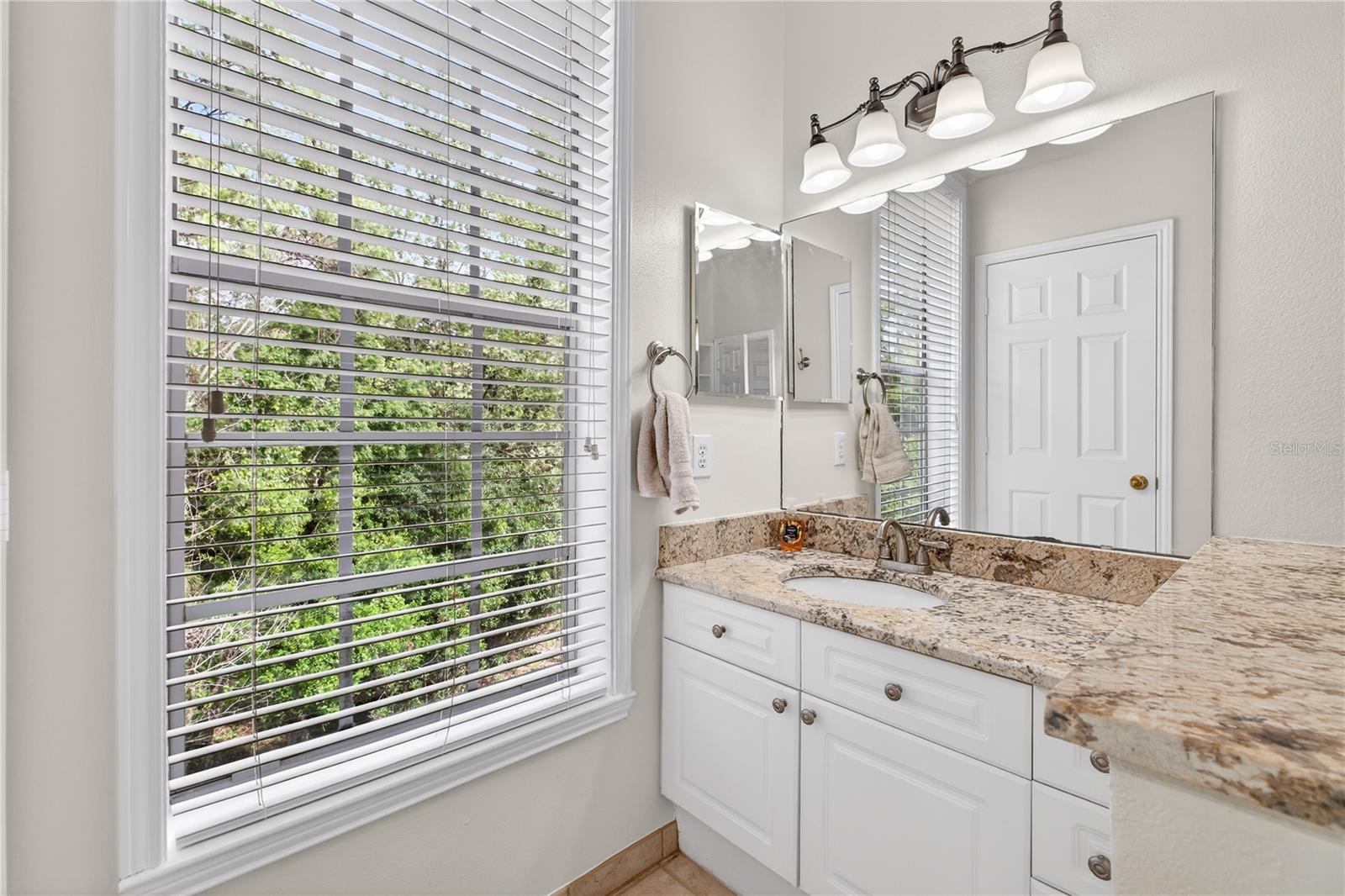 267 GOLDENRAIN DRIVE, Celebration, FL 34747