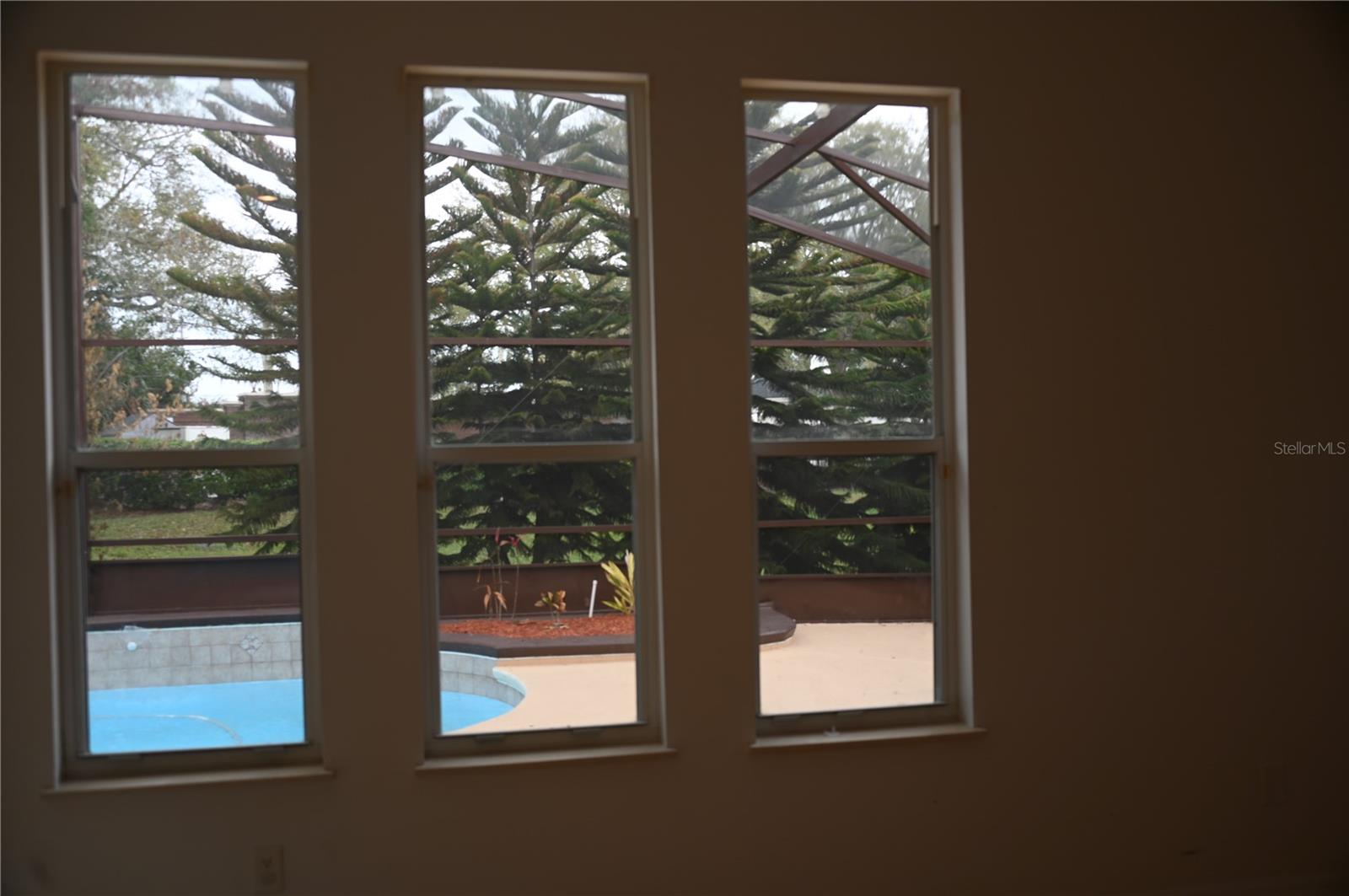 Living room windows