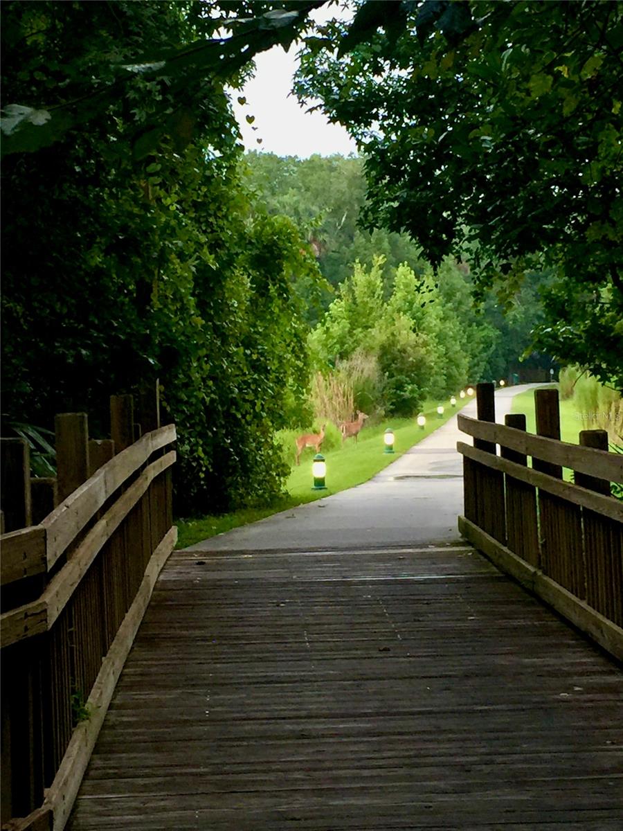 Artisan Park Walking Trails