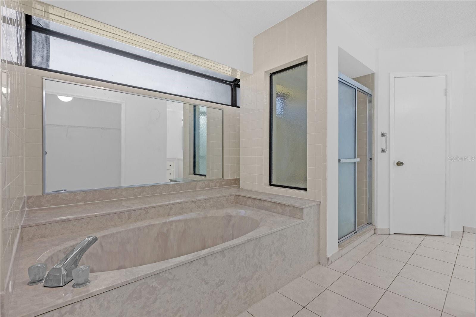9011 CHAPMAN OAK COURT, Windermere, FL 34786