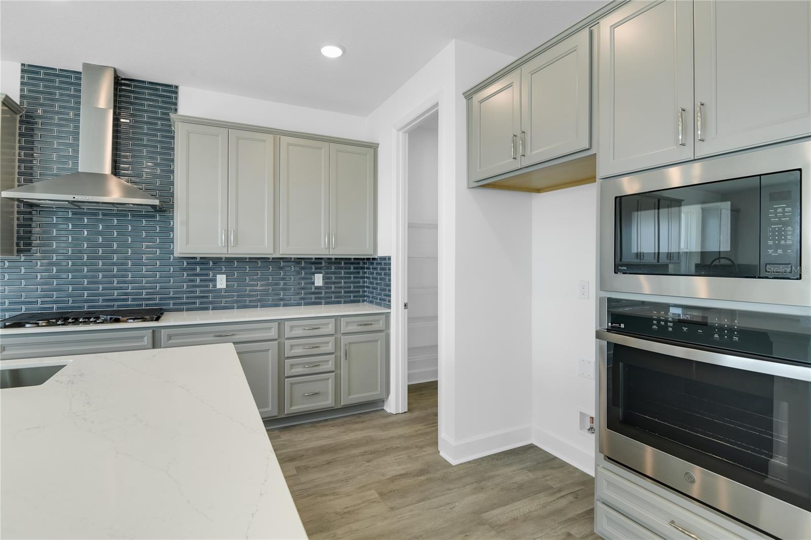 3040 WOODCLIFF LAKE CIRCLE, Clermont, FL 34711
