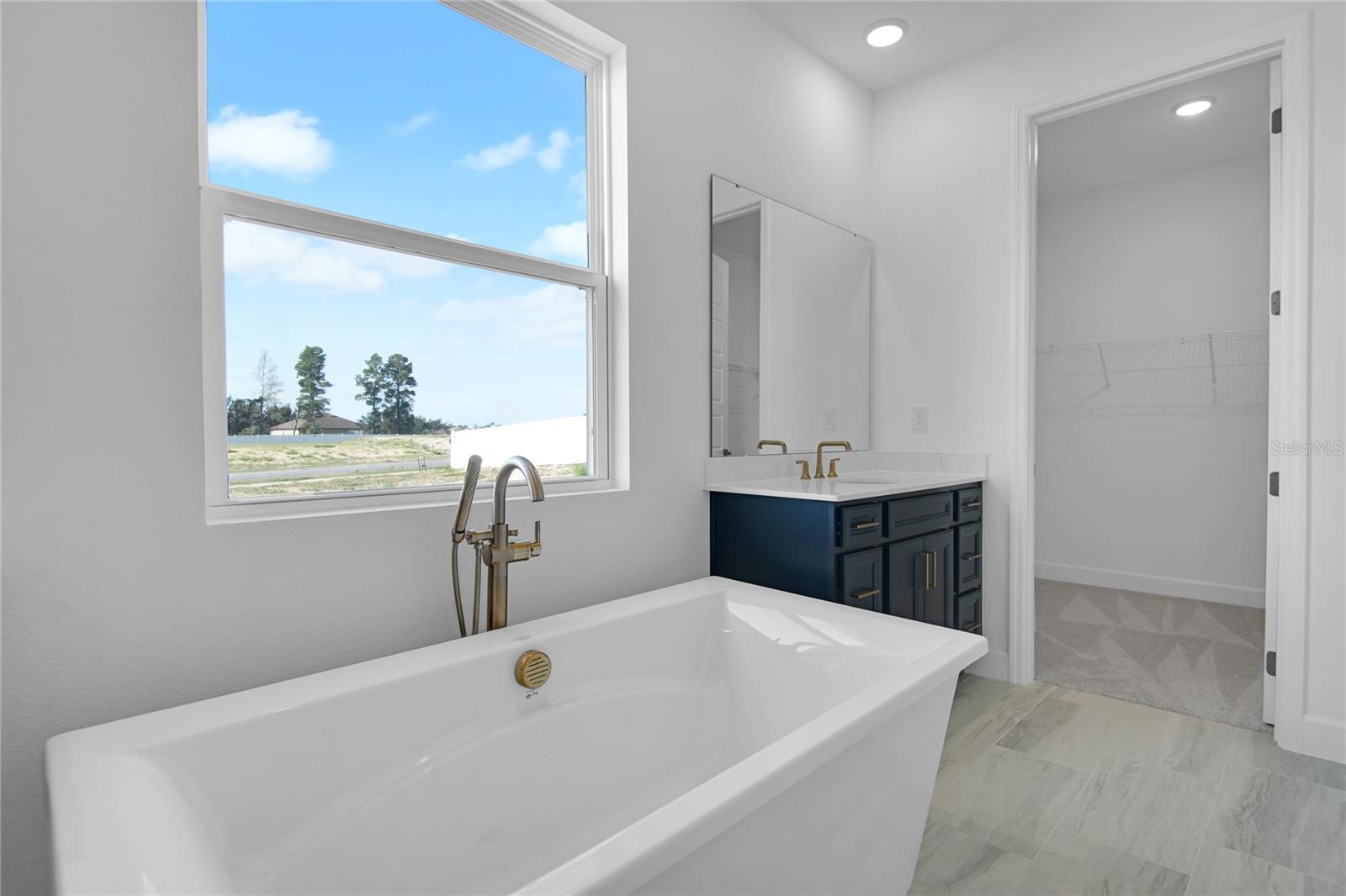 3037 WOODCLIFF LAKE CIRCLE, Clermont, FL 34711