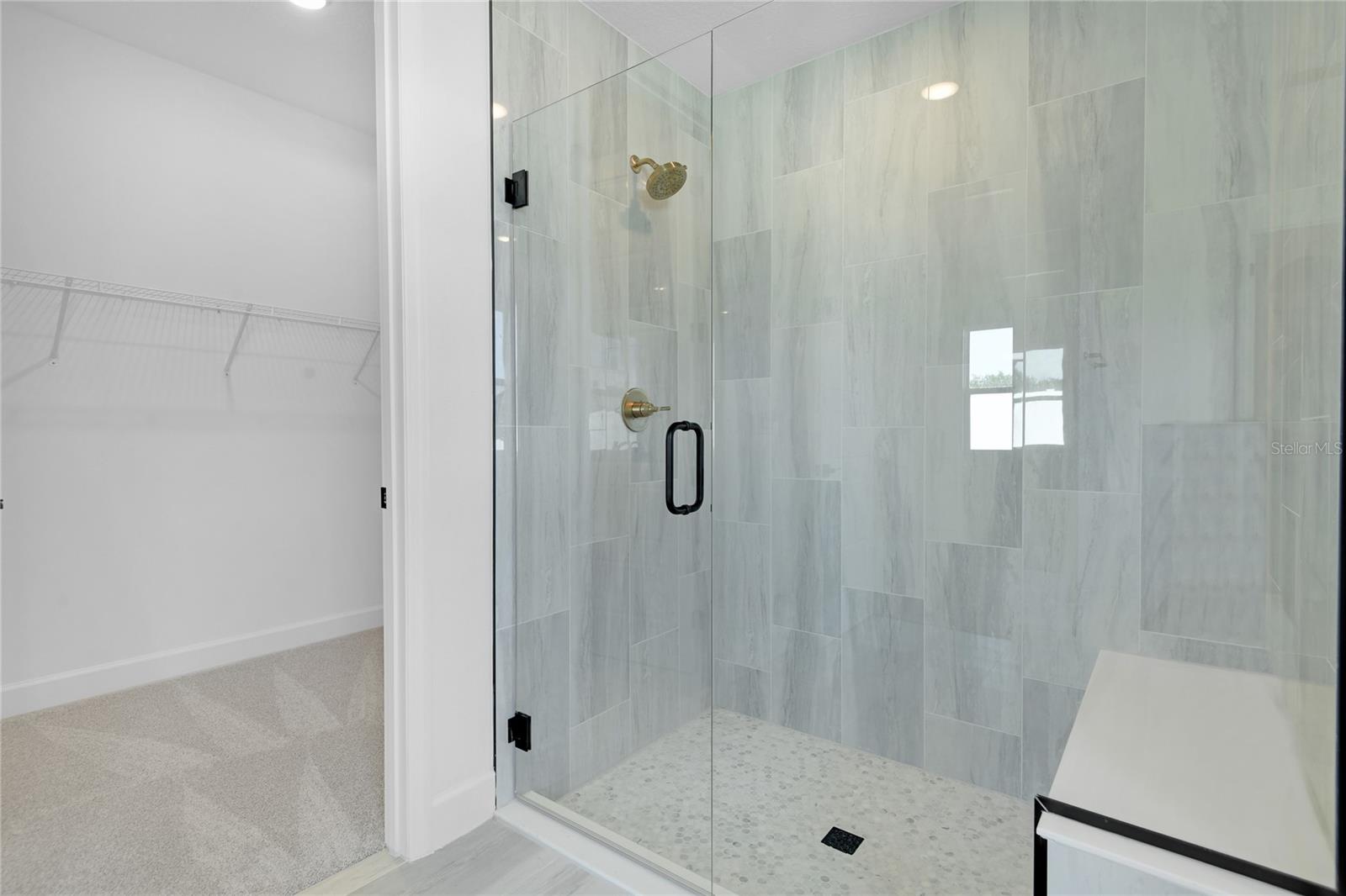 3037 WOODCLIFF LAKE CIRCLE, Clermont, FL 34711