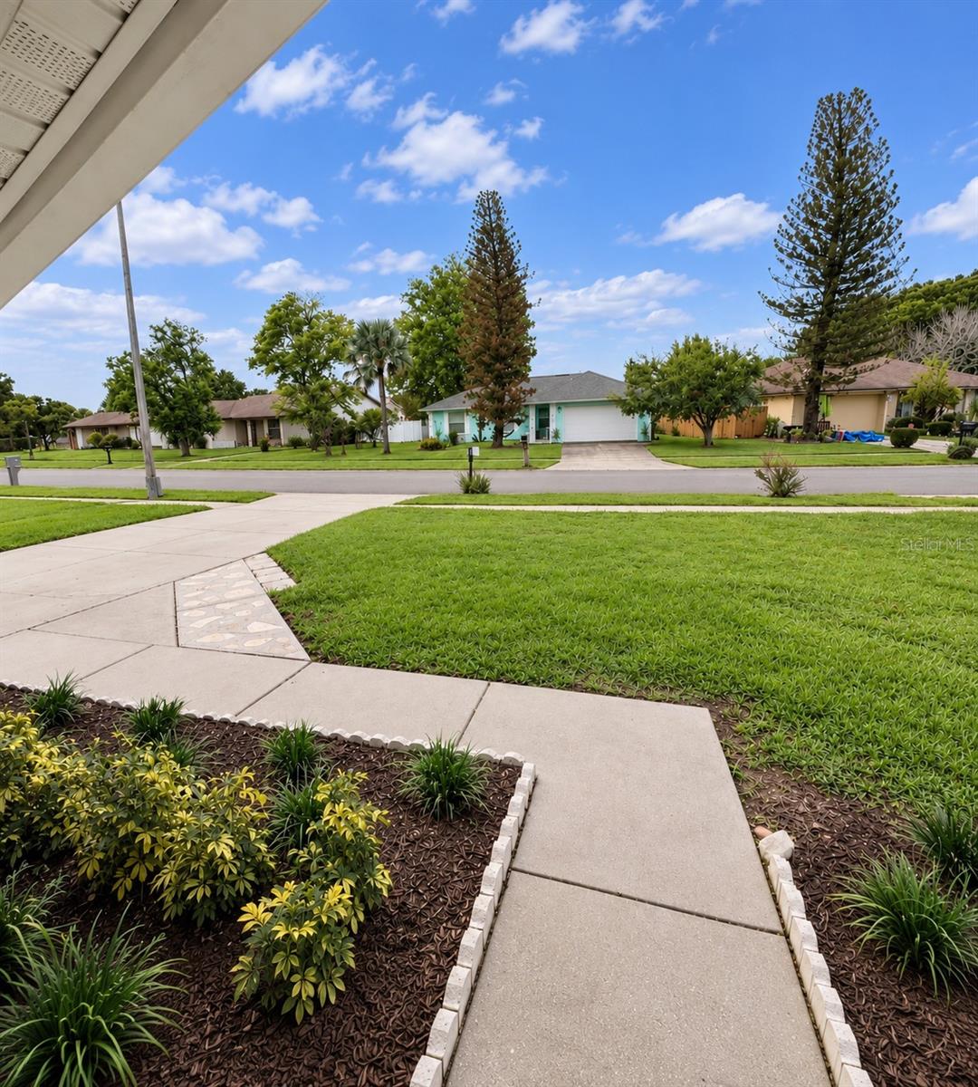 Front Yard