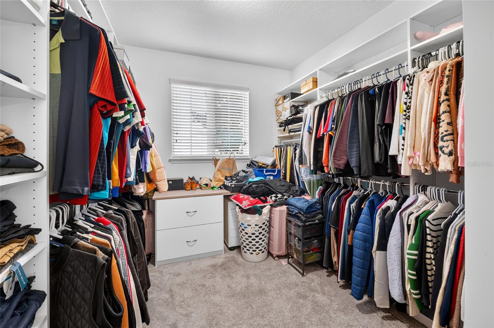 16004 OLLIVETT STREET, Winter Garden, FL 34787