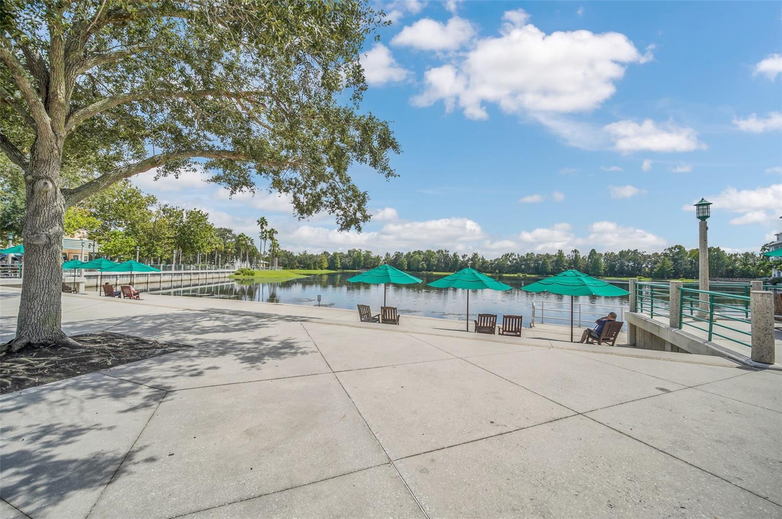 1018 WILD ELM STREET, Celebration, FL 34747