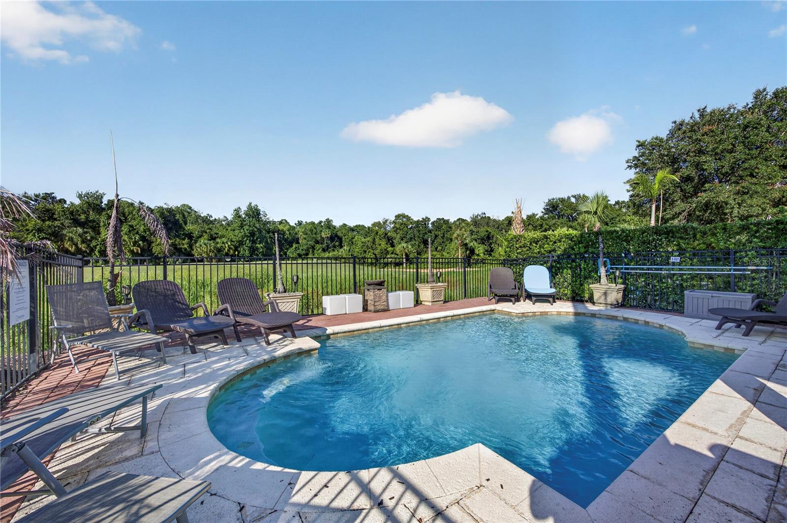 865 DESERT MOUNTAIN COURT, Reunion, FL 34747