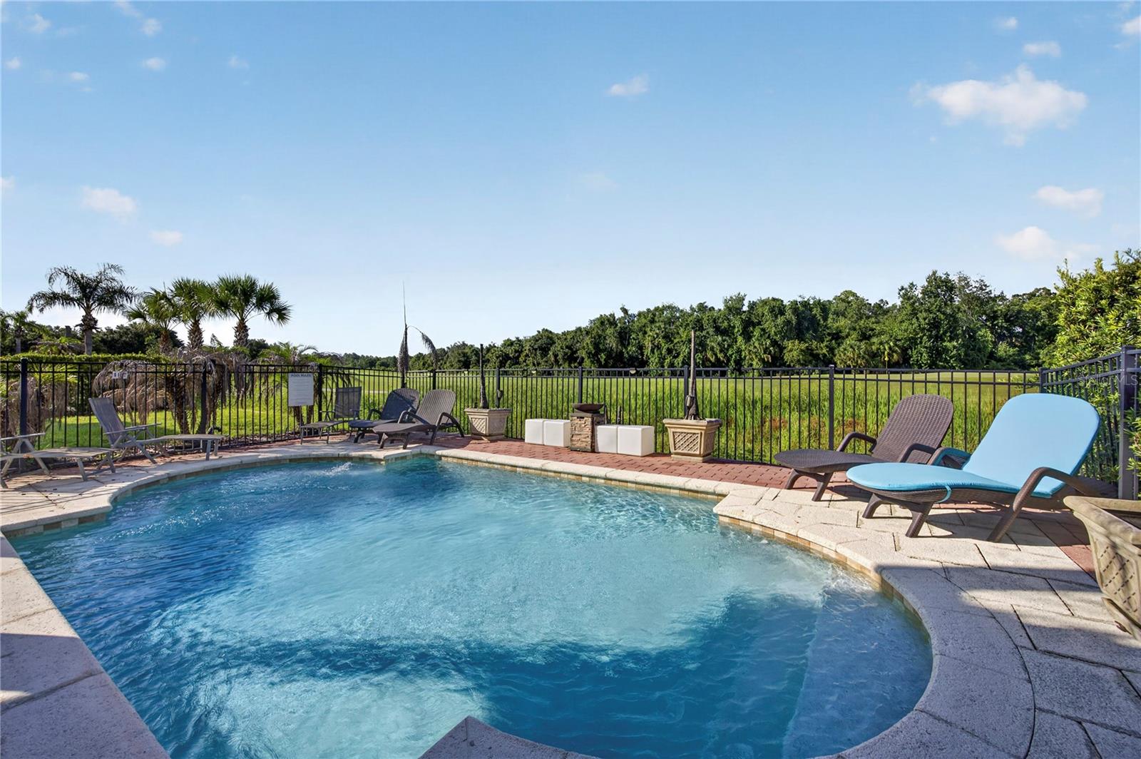 865 DESERT MOUNTAIN COURT, Reunion, FL 34747