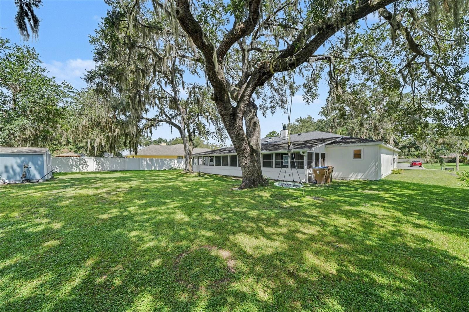extra large back yard with Shed & tree swing