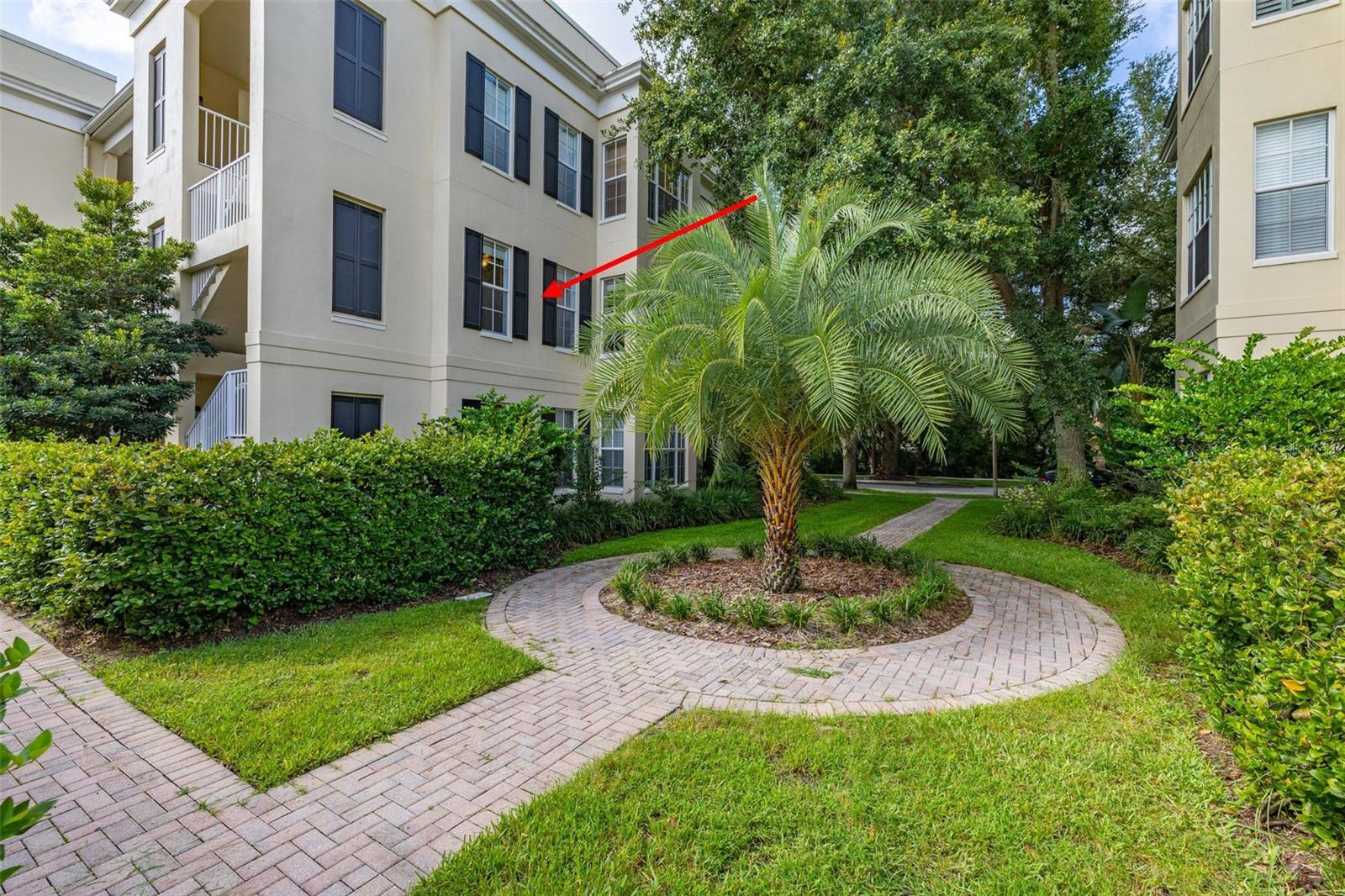 921 BEGONIA ROAD, #203, Celebration, FL 34747