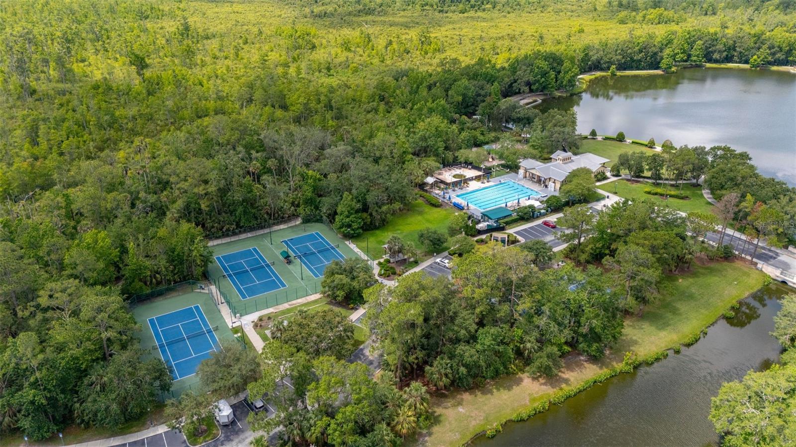 921 BEGONIA ROAD, #203, Celebration, FL 34747