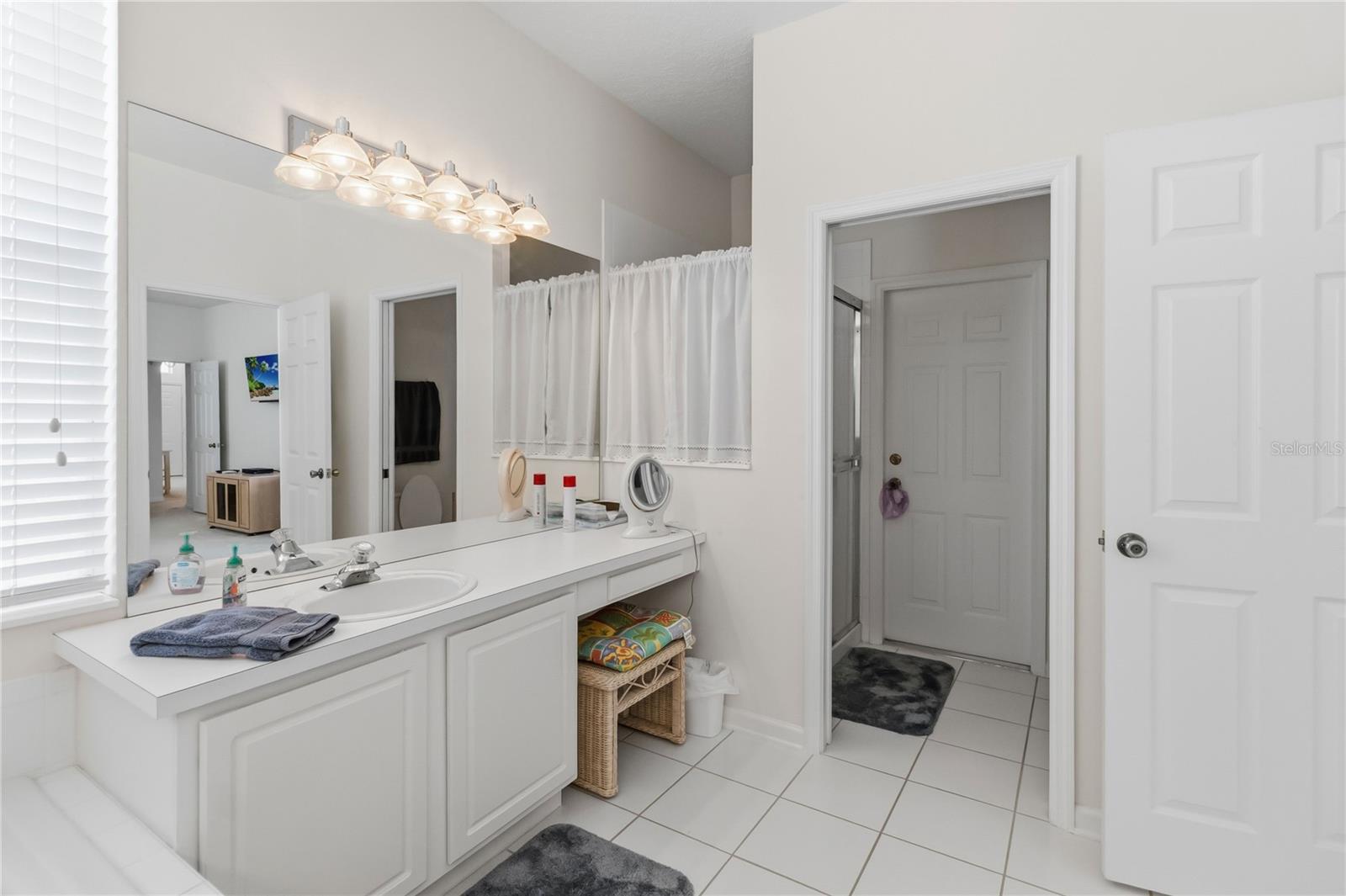 3245 FALCON POINT DRIVE, Kissimmee, FL 34741