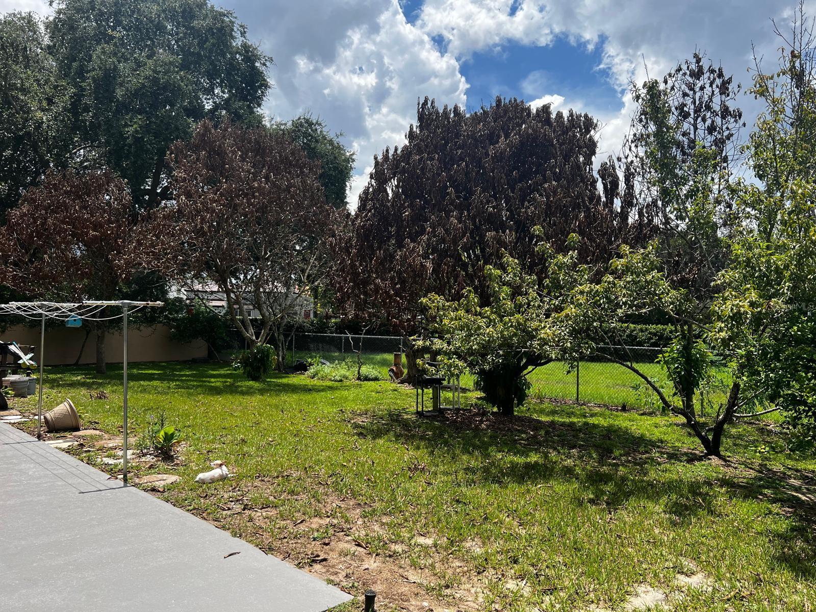 7804 SNOWBERRY CIRCLE, Orlando, FL 32819