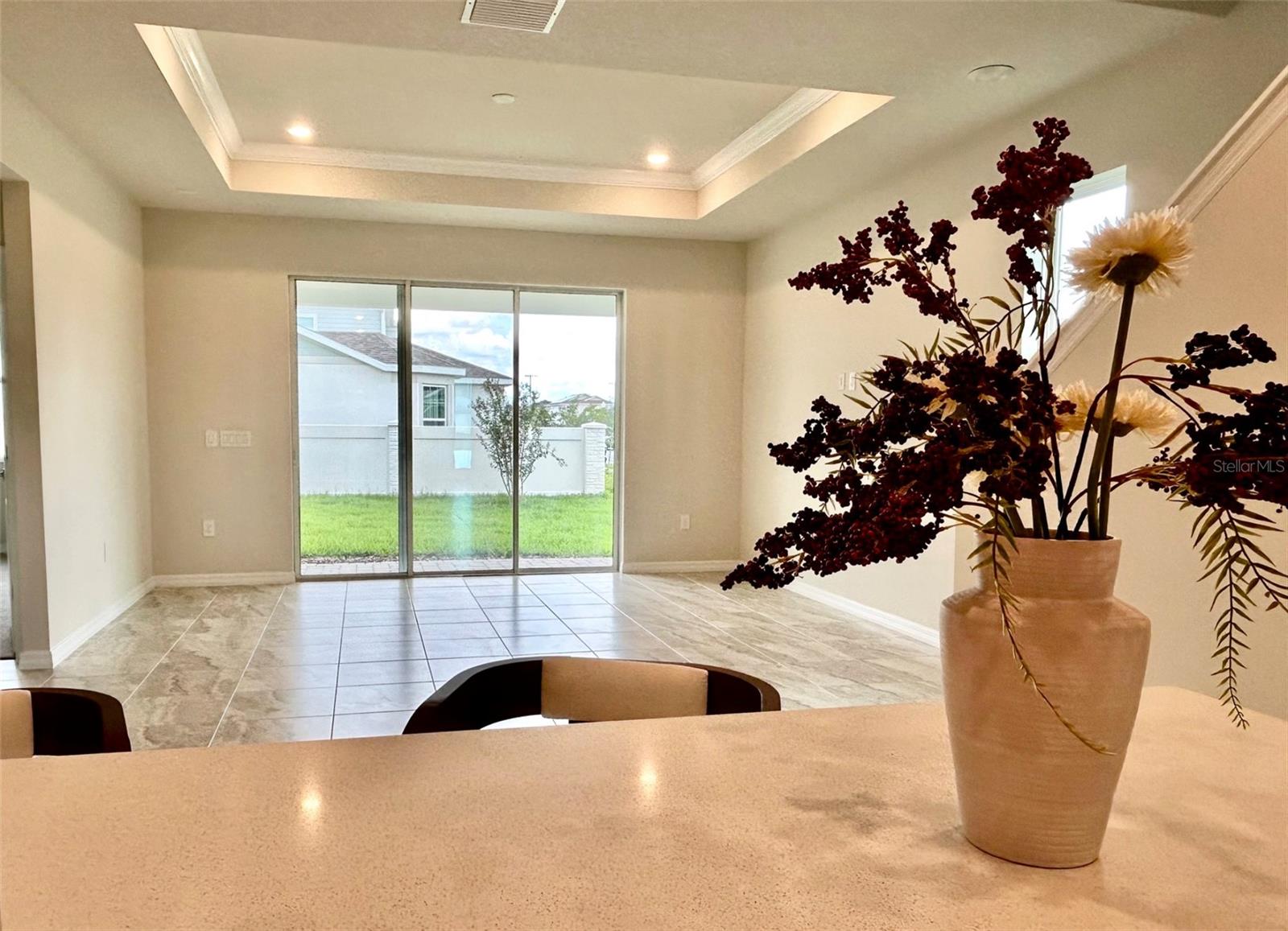 Kitchen counter view