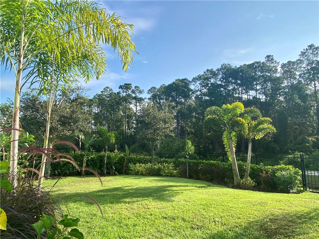 13173 LOWER HARDEN AVENUE, Orlando, FL 32827