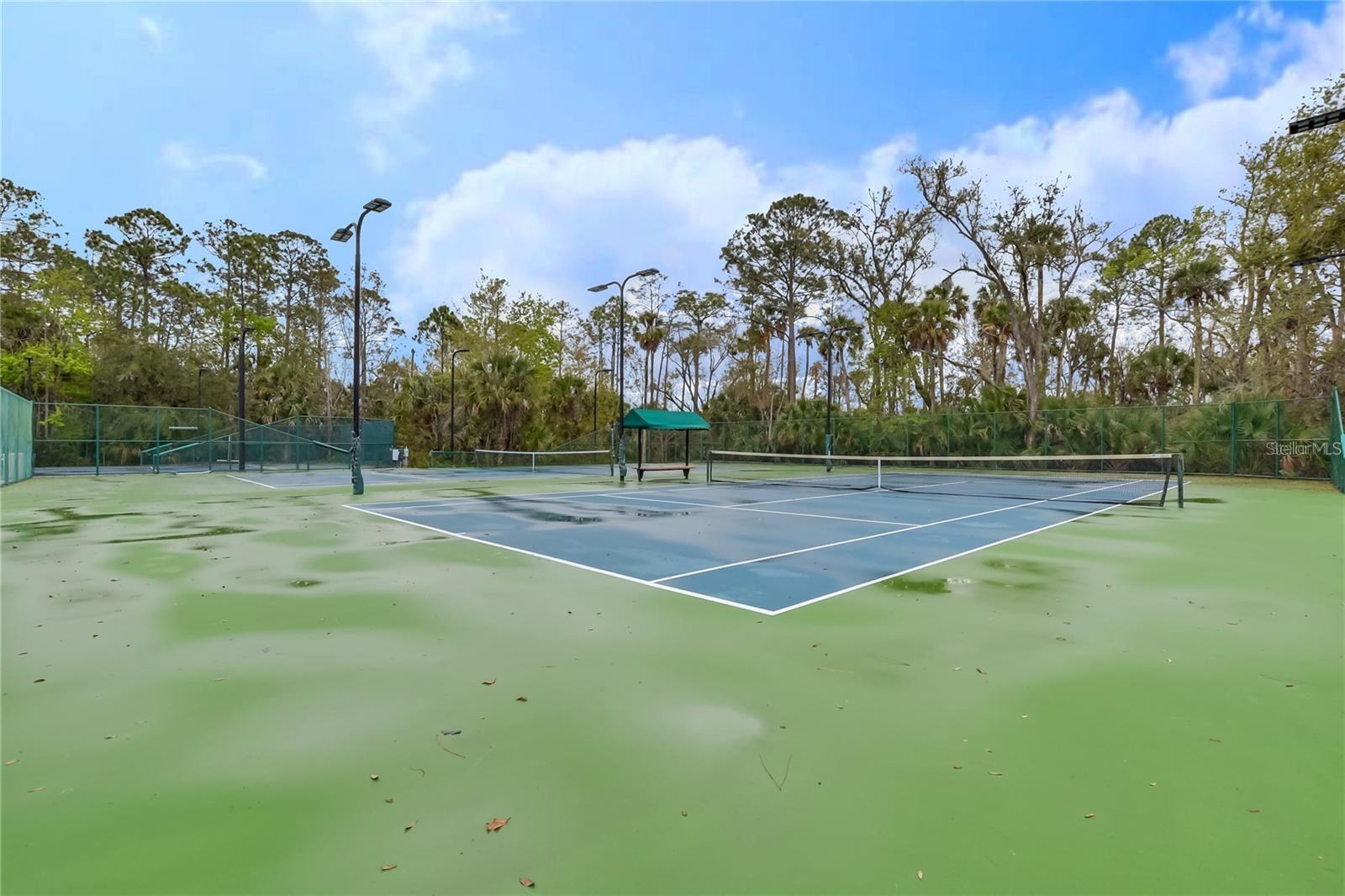323 CELEBRATION BOULEVARD, Celebration, FL 34747
