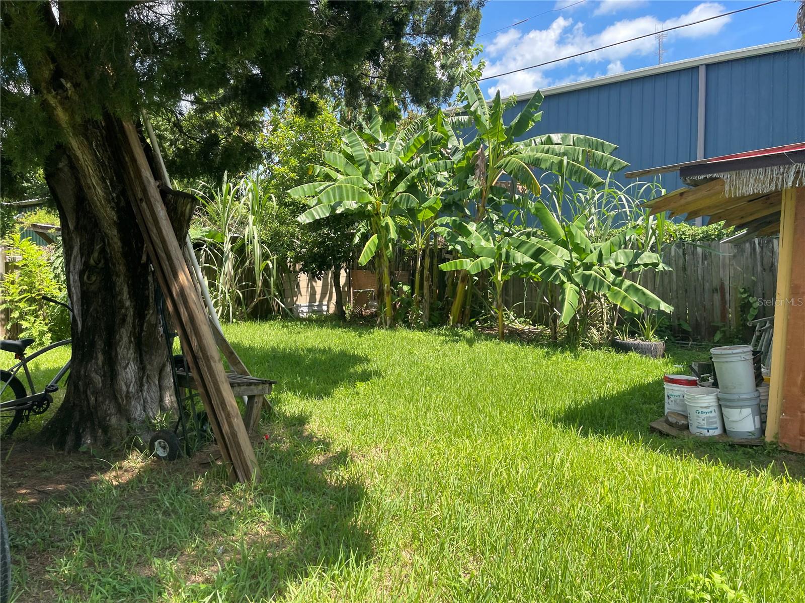 339 ELSIE AVENUE, Daytona Beach, FL 32117