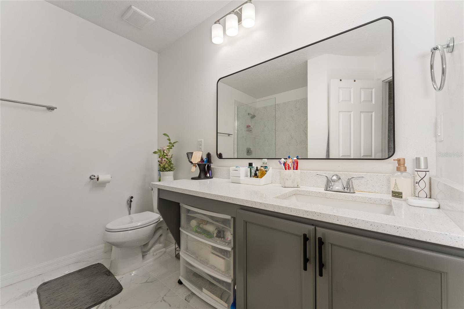 6614 BRIDGEWATER VILLAGE RD, Windermere, FL 34786