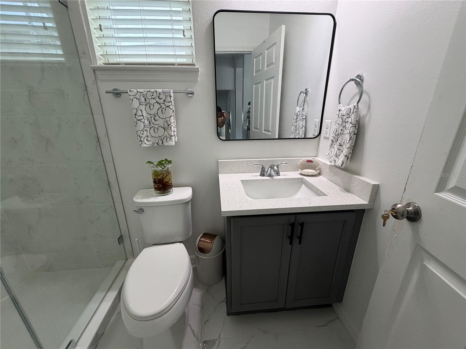 6614 BRIDGEWATER VILLAGE RD, Windermere, FL 34786