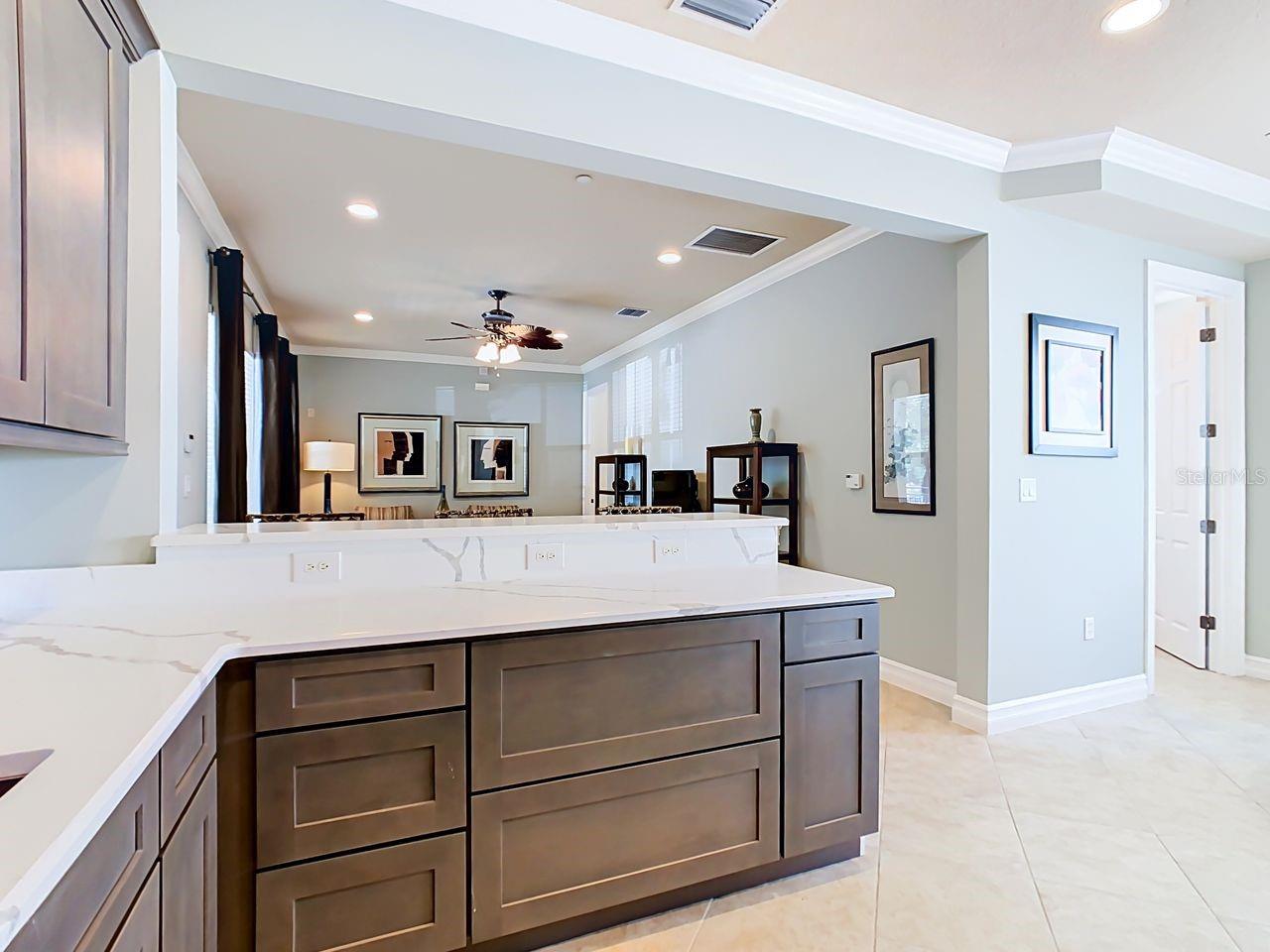 803 FRONT STREET, #4101, Celebration, FL 34747