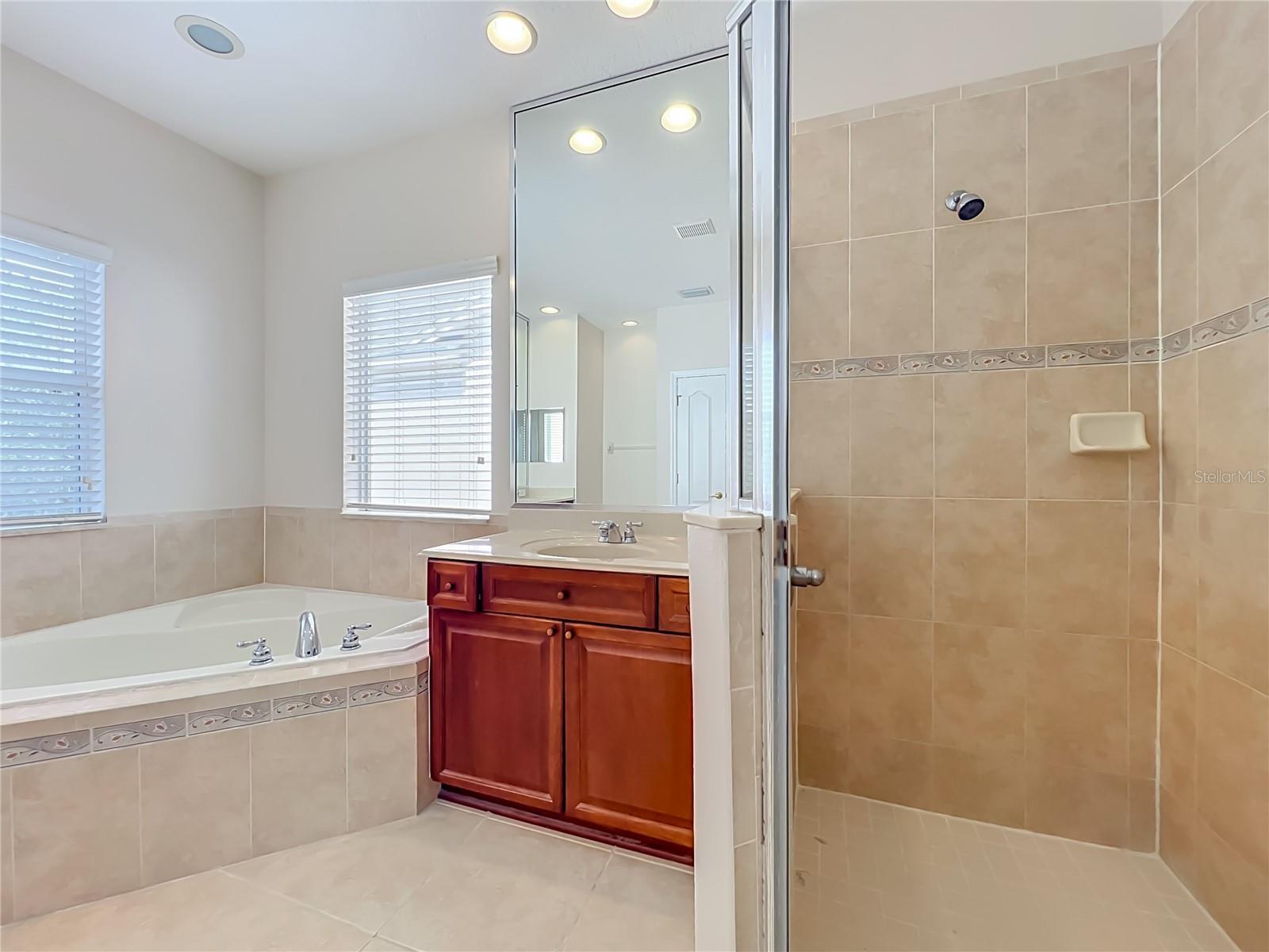 12809 HOLDENBURY LANE, Windermere, FL 34786