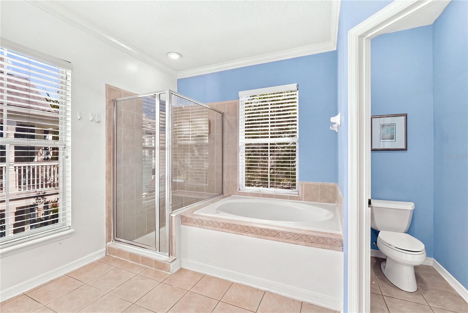 902 WATERSIDE DRIVE, Celebration, FL 34747