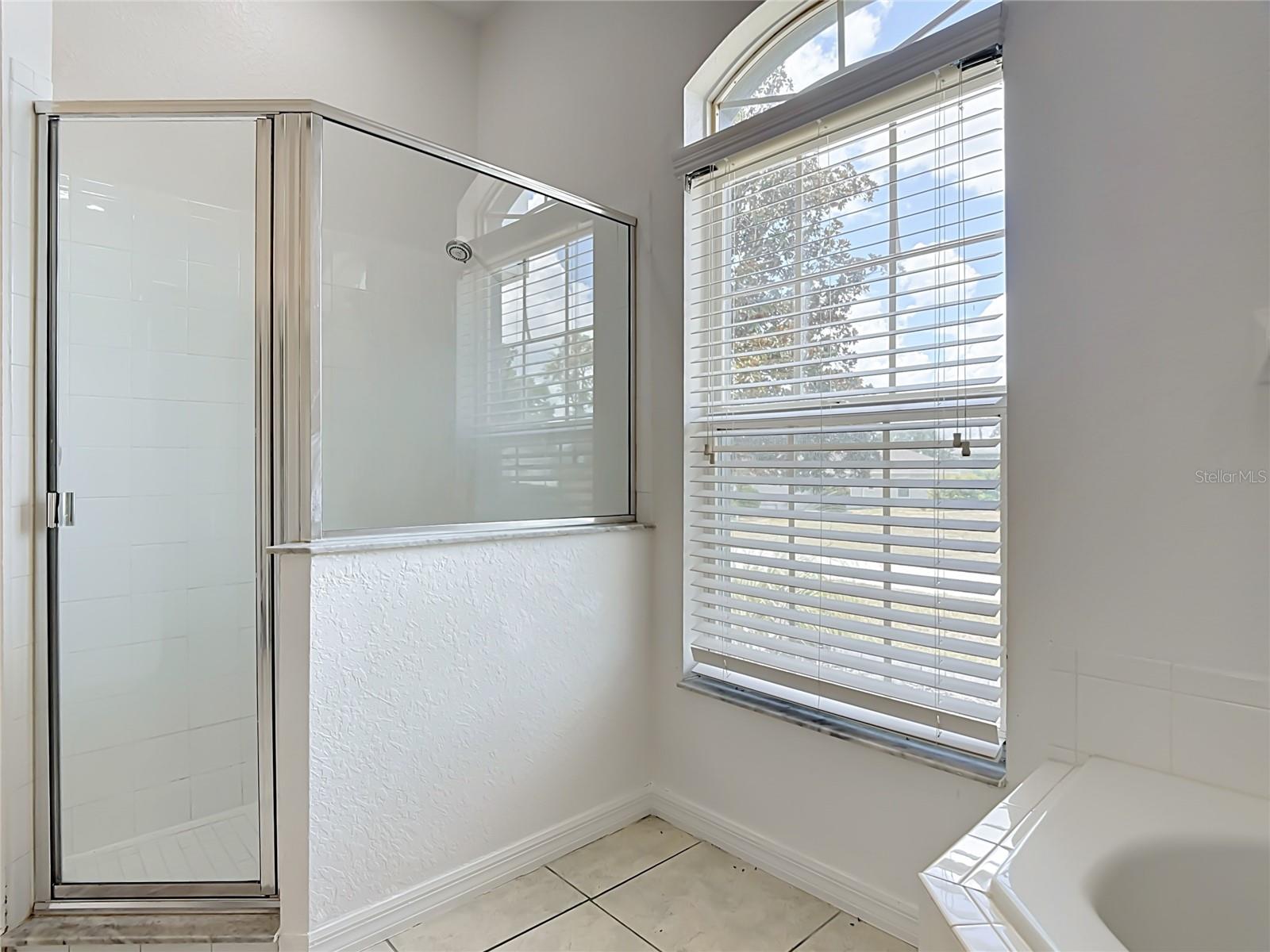 957 VIA BIANCA DRIVE, Davenport, FL 33896