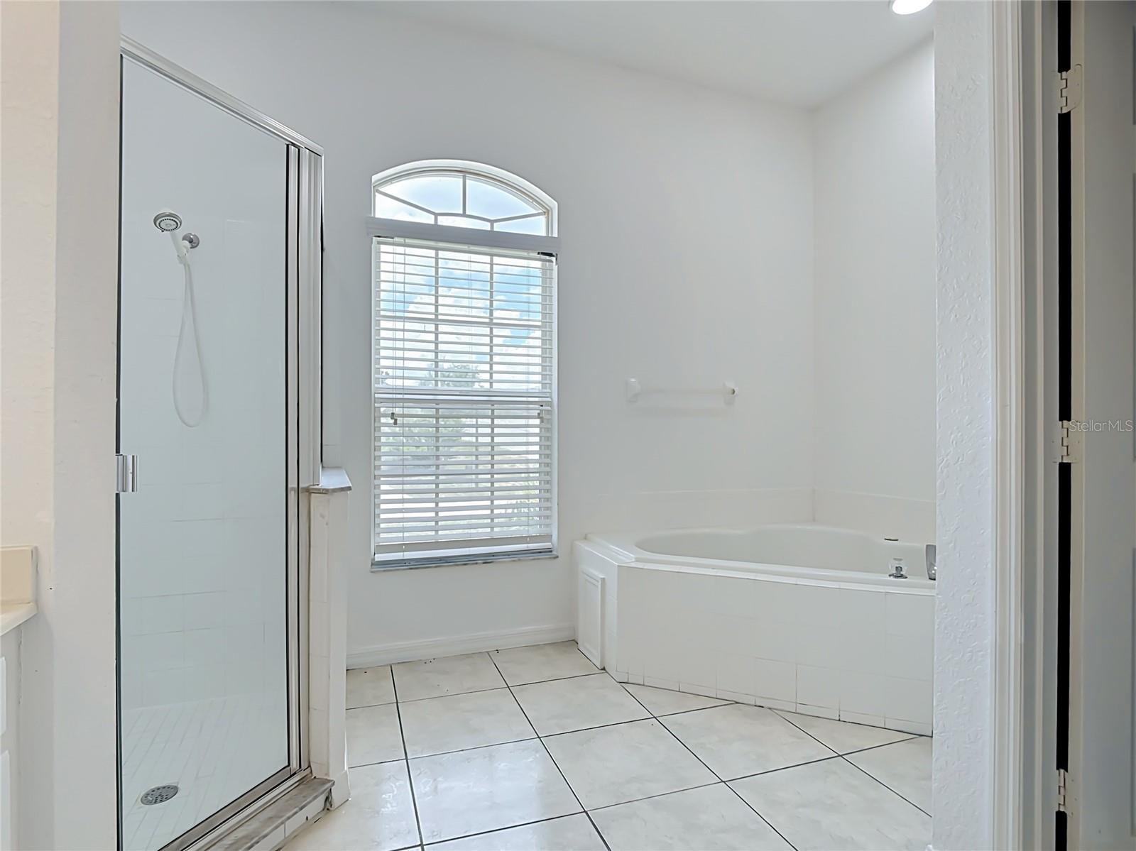 957 VIA BIANCA DRIVE, Davenport, FL 33896
