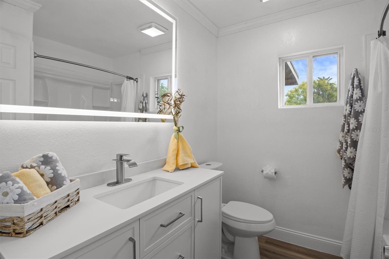 Guest Bathroom - Stone Countertops & Lighted Mirror