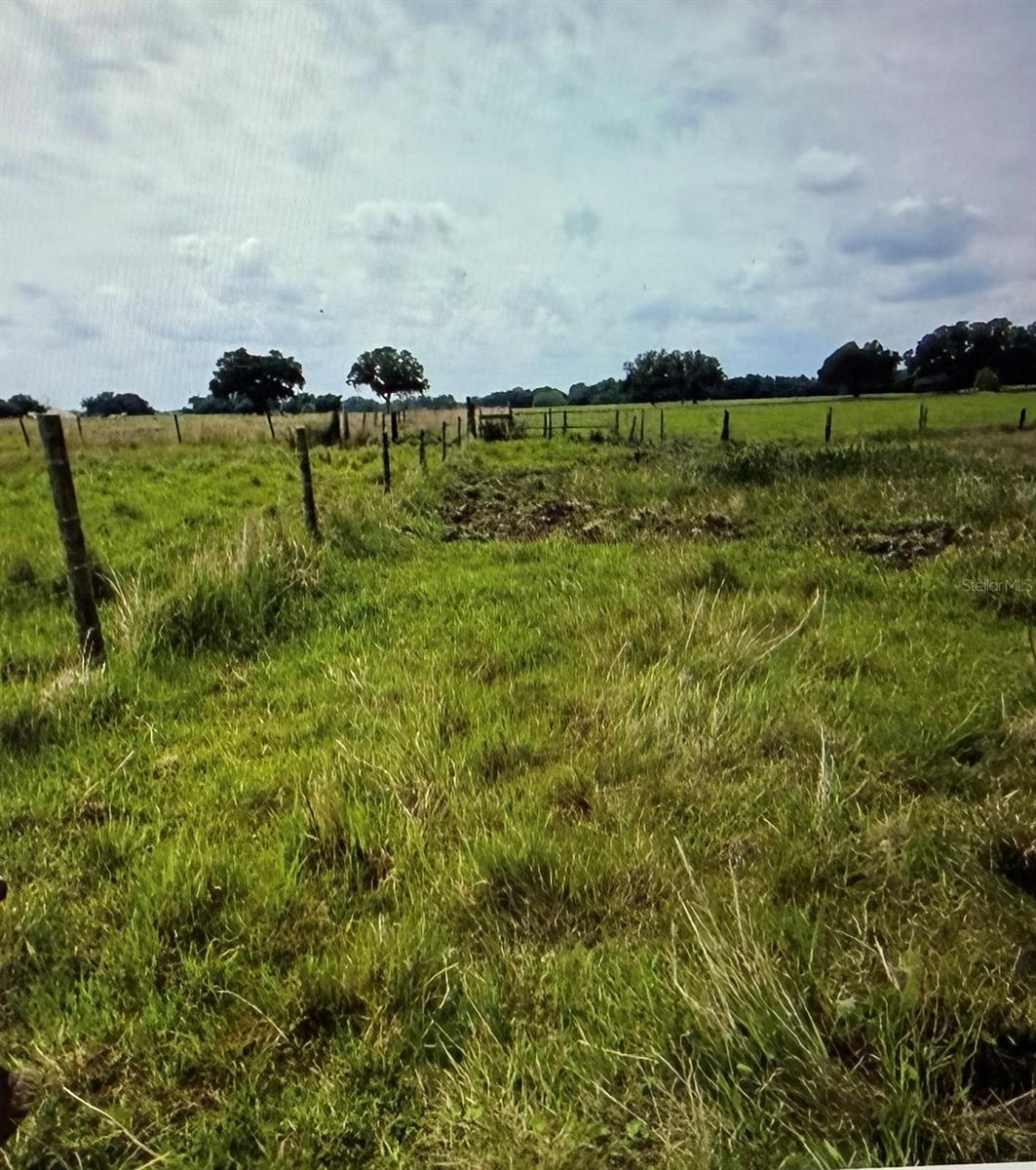 COUNTY ROAD 727, Webster, FL 33597