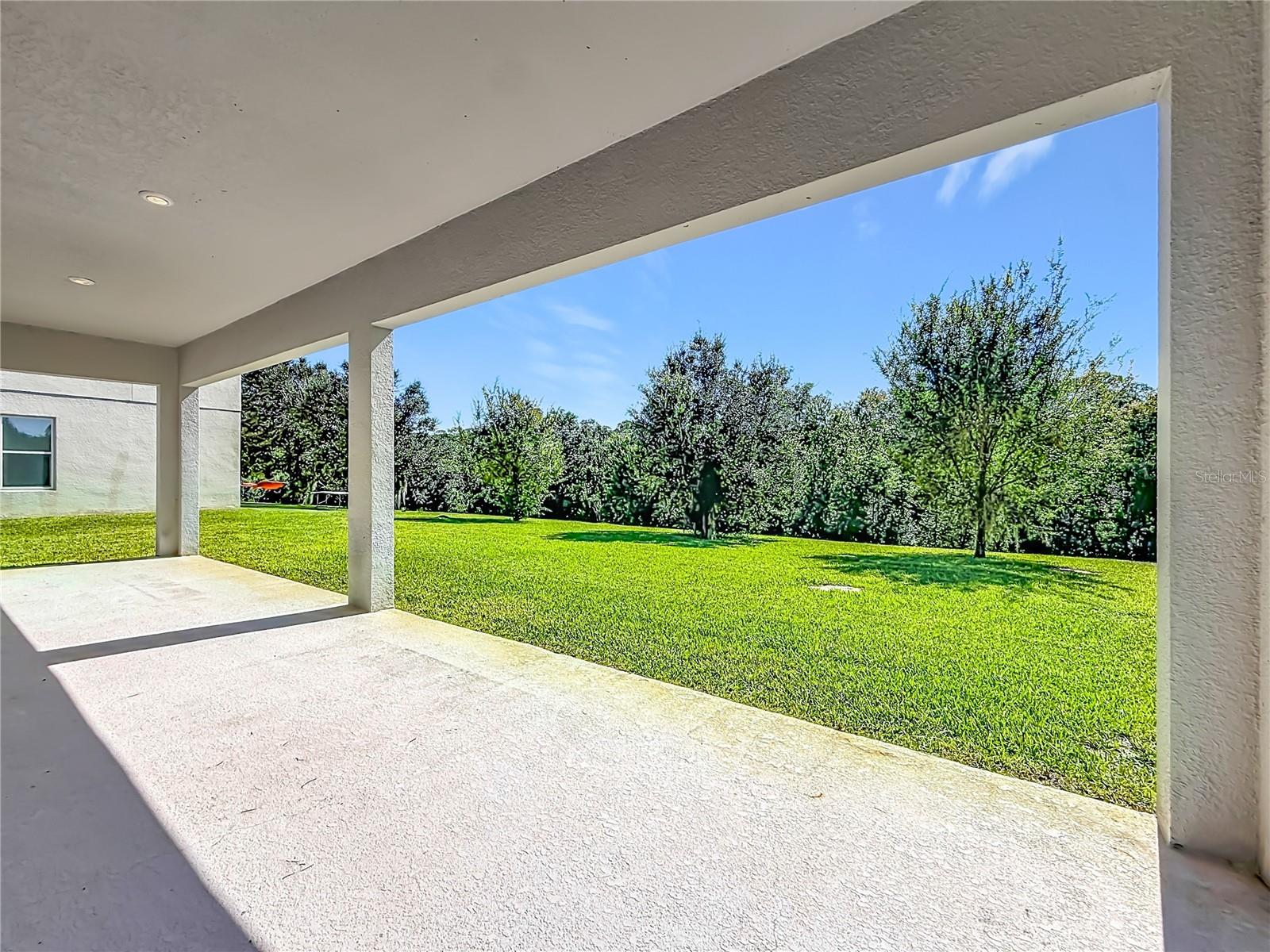 10079 AUSTRINA OAK LOOP, Winter Garden, FL 34787