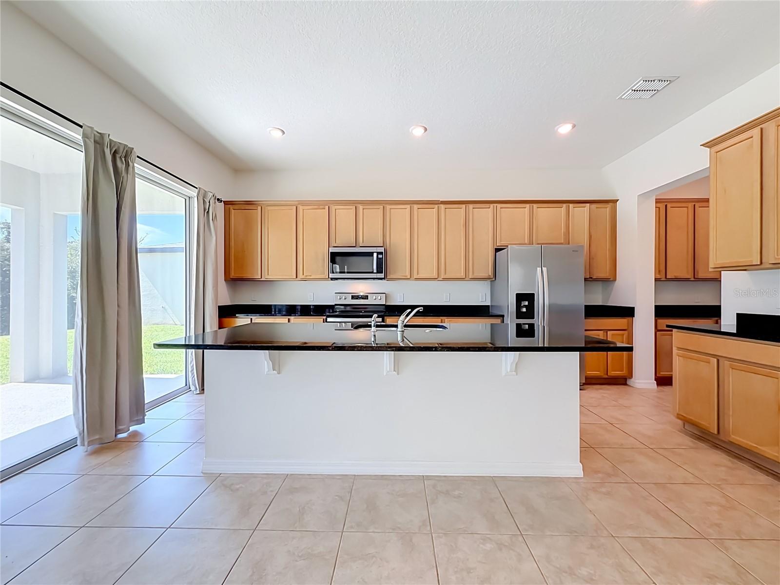 10079 AUSTRINA OAK LOOP, Winter Garden, FL 34787